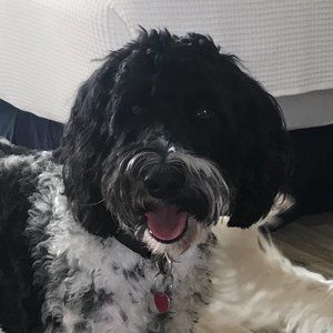 ❤️❤️Pick 5 @ $5 each for $15❤️❤️